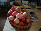 DSC01723_01