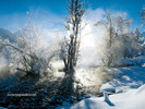nature (62)