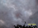 100_7951