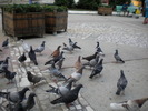 DSCN0102
