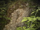 PICT0049