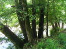 DSCF2633