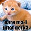Copy of WBRGMEBEKPIYBGVVHVT