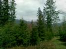 Copy of 22042008(010)