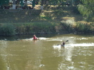 Concursul Cupa Mures 2009