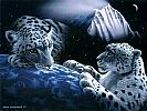foto_tigri_301[1]