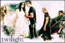 twilight 14