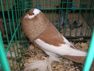 P1010176