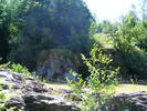 DSCF4677