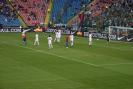 STEAUA 175