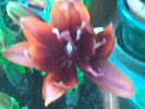 Imag073