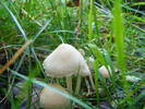 DSCF2632