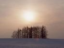 Snow_Scenery_04