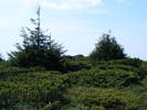 DSCF0335