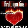 avatare_gratuite_10805485454762d529b218e3.50333243