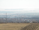 DSCN4081