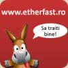 etherfast1[1]