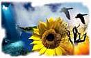 WCATW6EBVCAE30BUICAZXGE6TCAUSWHRGCA3UM8W6CADDZ3D4CA3F41VQCARBOQPBCA4OZB9CCAZLUQFCCAKIGH9MCAA00Y49CAU