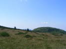 DSCF4156