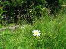 DSCF2764