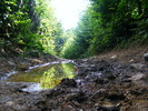 DSCF4908