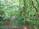 DSCF0596