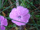 DSC04067