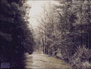AMER_04