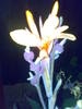 04082009551