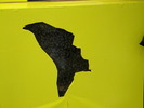 DSCN3187
