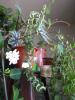 aug 2008 003