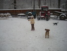 Picture 144