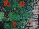 DSC09838