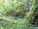 DSCF5292