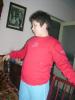 david