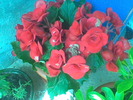 Imag034