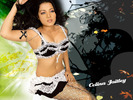celina-jaitley_008