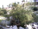 PICT0169