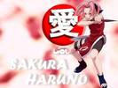 SAKURA2[1]