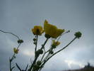 DSC00350