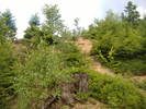 DSCF6001