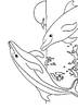 dolphin_coloring_page_1