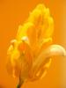 DSCF1678
