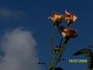 100_8185