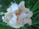 Imag046