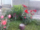 Fotografii-0092