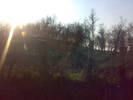 06042009732