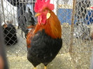 DSCN0190