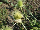 DSCF1560
