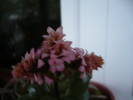 Picture 025
